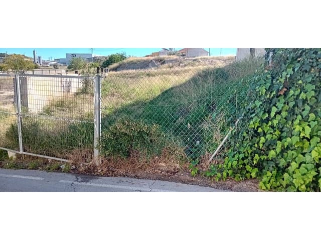 Terre non Aménagée à vendre à Molina de Segura - 57 000 € (Ref: 10032305)