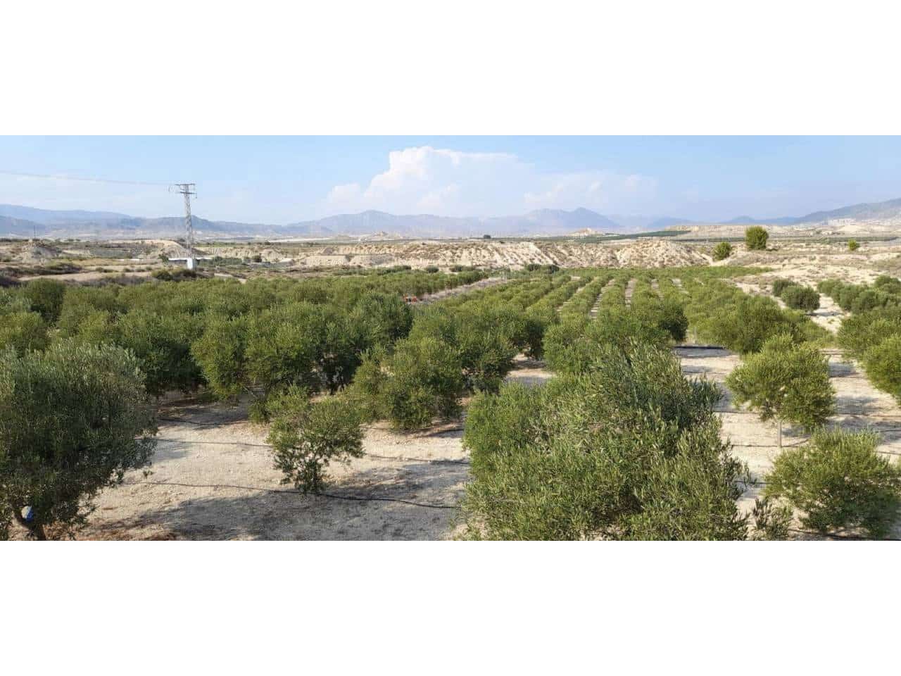 Bauplatz zu verkaufen in Fortuna - 70.000 € (Ref: 10032310)