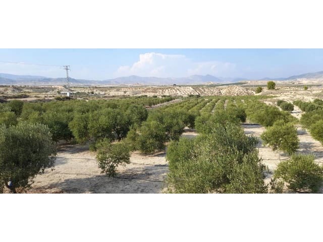 Bauplatz zu verkaufen in Fortuna - 70.000 € (Ref: 10032310)