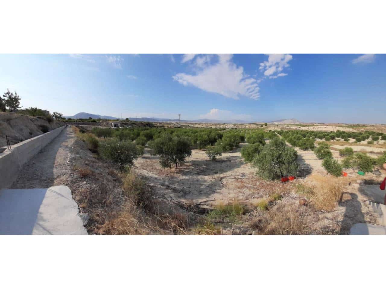 Bauplatz zu verkaufen in Fortuna - 70.000 € (Ref: 10032310)