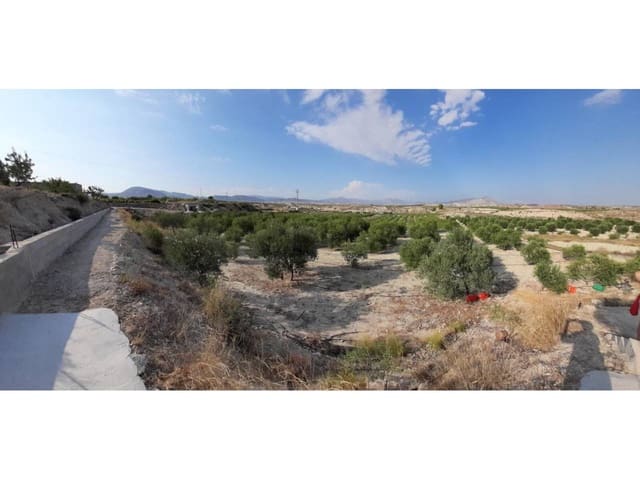 Bauplatz zu verkaufen in Fortuna - 70.000 € (Ref: 10032310)