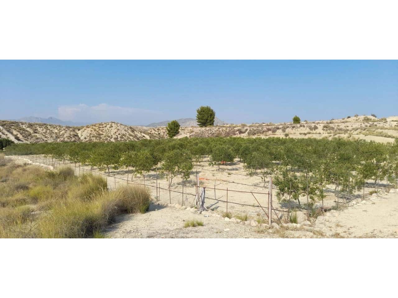Bauplatz zu verkaufen in Fortuna - 70.000 € (Ref: 10032310)