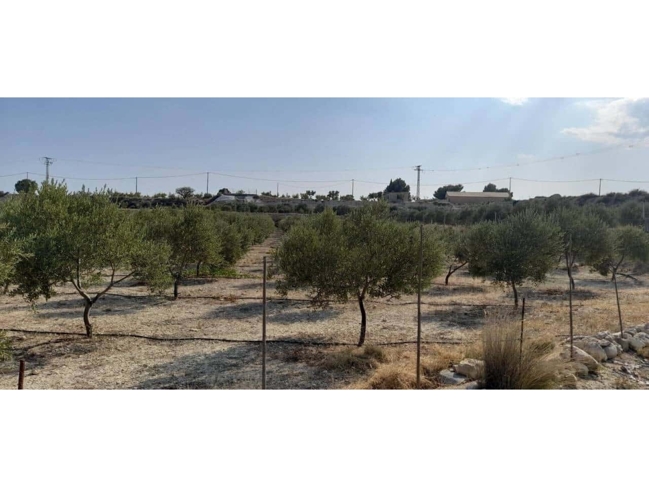 Bauplatz zu verkaufen in Fortuna - 70.000 € (Ref: 10032310)