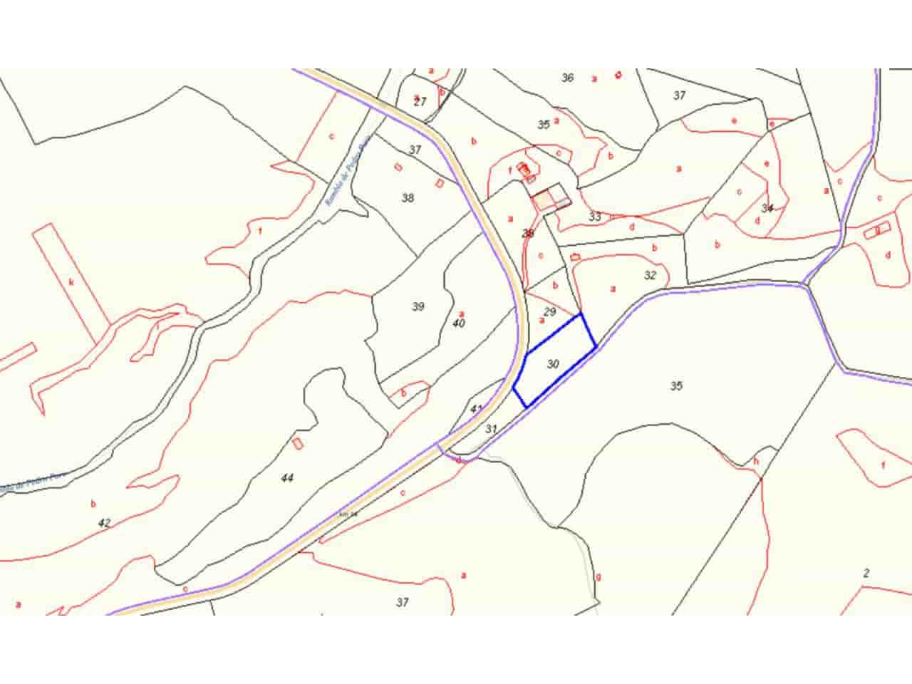 Undeveloped Land for sale in Pliego - € 16,000 (Ref: 10032348)