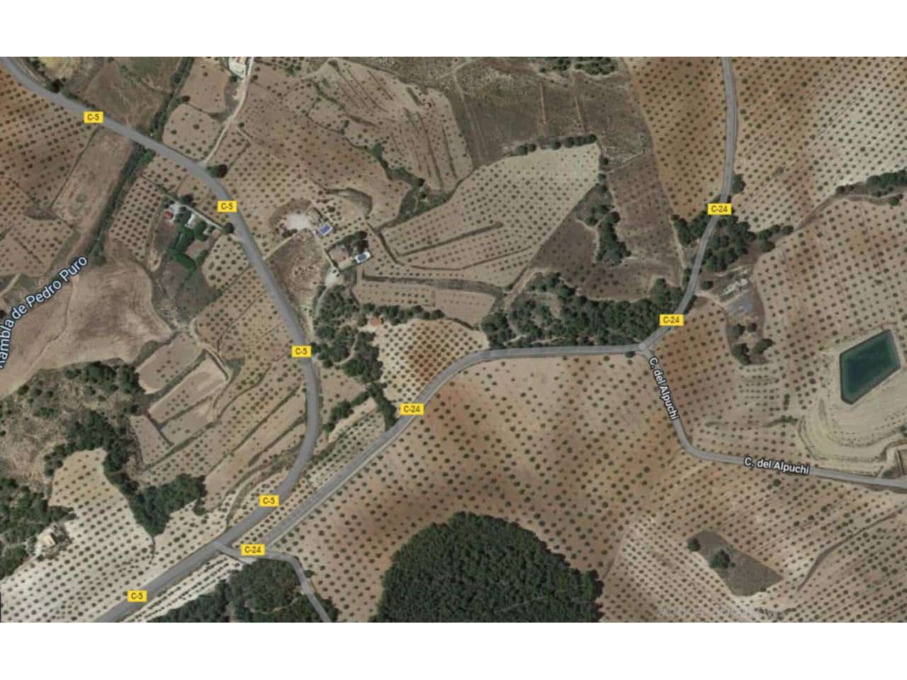 Undeveloped Land for sale in Pliego - € 16,000 (Ref: 10032348)