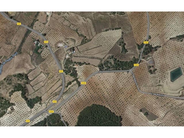 Undeveloped Land for sale in Pliego - € 16,000 (Ref: 10032348)