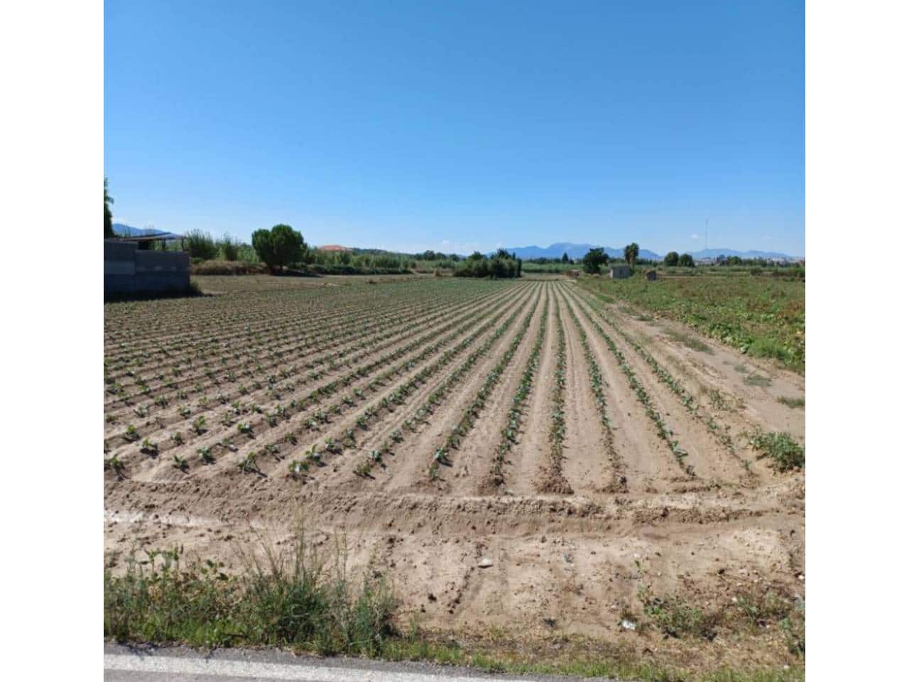 Terre non Aménagée à vendre à Molina de Segura - 160 000 € (Ref: 10032351)