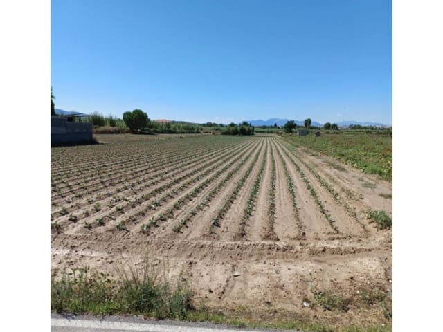 Terre non Aménagée à vendre à Molina de Segura - 160 000 € (Ref: 10032351)