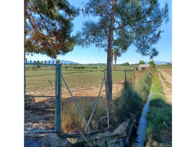 Terre non Aménagée à vendre à Molina de Segura - 160 000 € (Ref: 10032351)