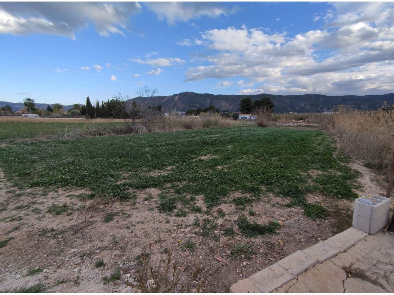 Undeveloped Land for sale in Murcia city - € 39,500 (Ref: 10032357)