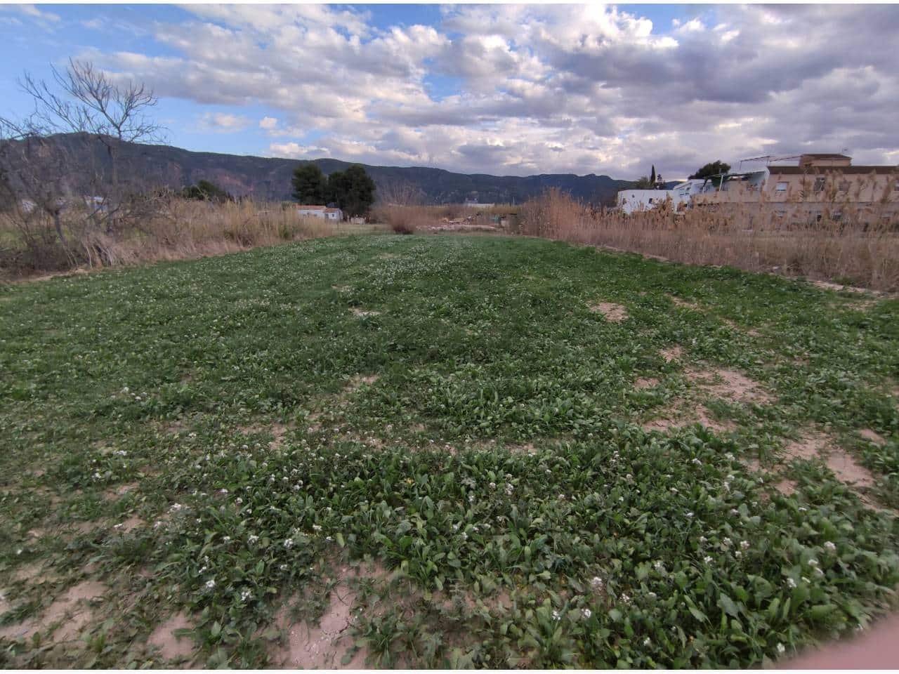 Undeveloped Land for sale in Murcia city - € 39,500 (Ref: 10032357)