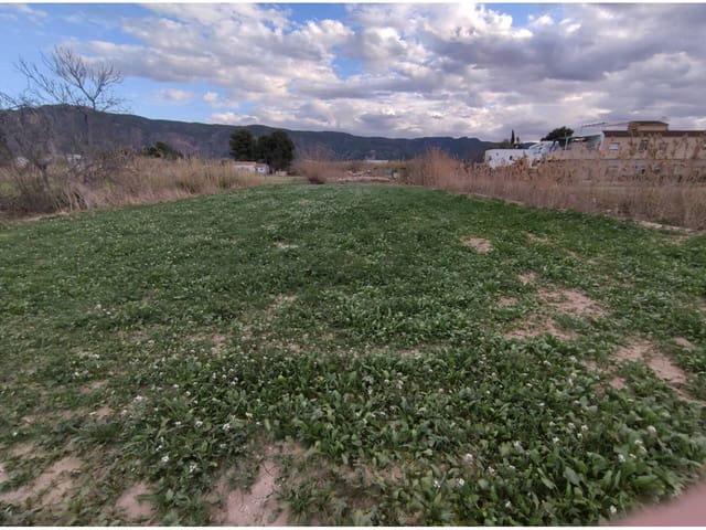 Terreno/Finca Rústica en Murcia ciudad en venta - 39.500 € (Ref: 10032357)