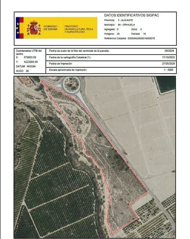 Terreno/Finca Rústica en Orihuela ciudad, Orihuela en venta - 101.500 € (Ref: 9980989)
