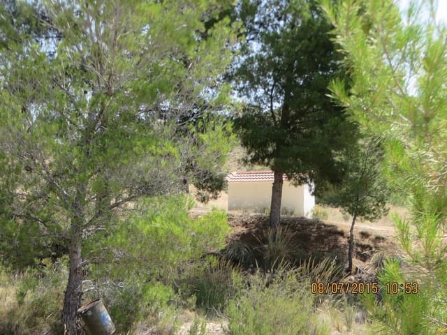 Finca/Casa Rural en Sax en venta - 28.000 € (Ref: 9981033)
