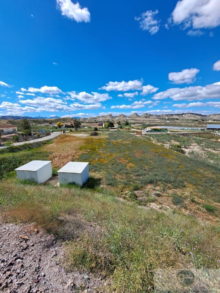 Tontti vuokrattavana paikassa Lorca - 500 € (Ref: 10030836)