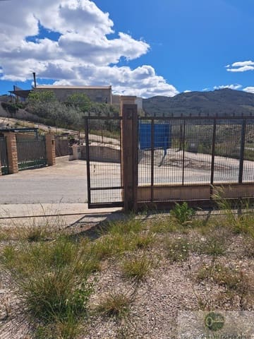 Bauplatz zu vermieten in Lorca - 500 € (Ref: 10030836)