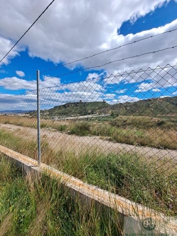 Bauplatz zu vermieten in Lorca - 500 € (Ref: 10030836)
