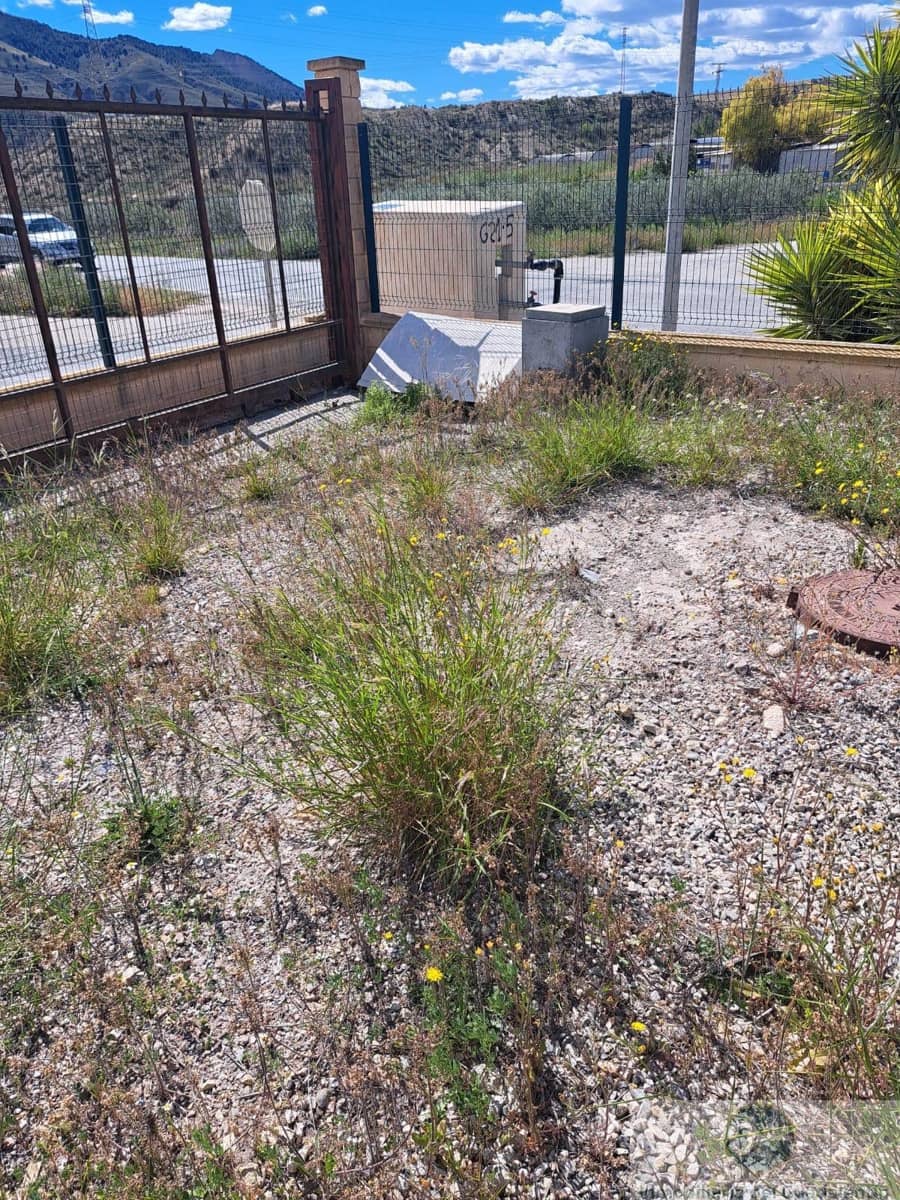Tontti vuokrattavana paikassa Lorca - 500 € (Ref: 10030836)