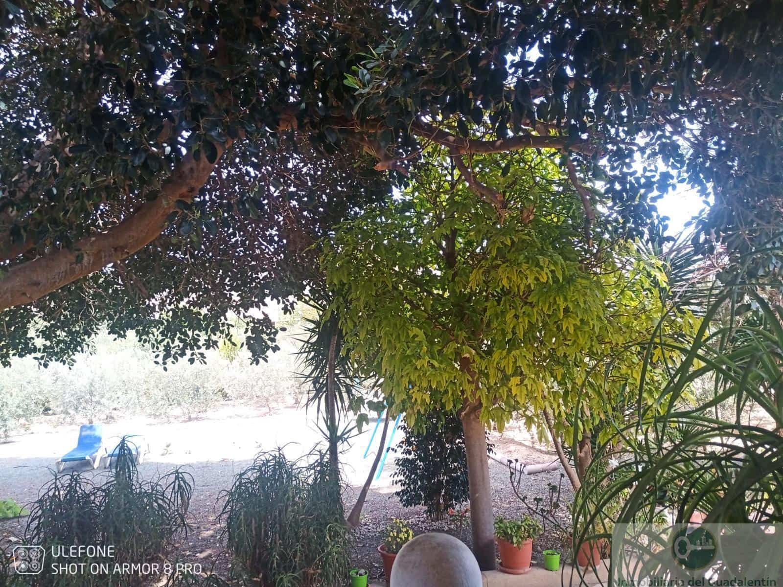 4 Zimmer Villa zu verkaufen in La Hoya - 360.500 € (Ref: 10030852)