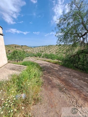 4 chambre Finca/Maison de Campagne à vendre à Lorca avec garage - 340 000 € (Ref: 10030859)