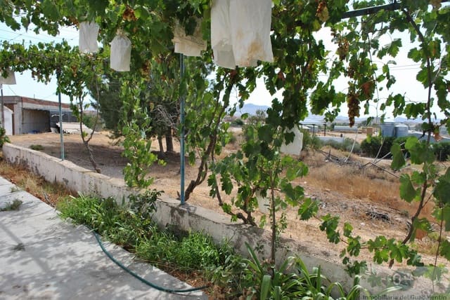 Finca/Casa Rural de 3 habitaciones en Almendricos, Lorca en venta - 89.000 € (Ref: 10030860)