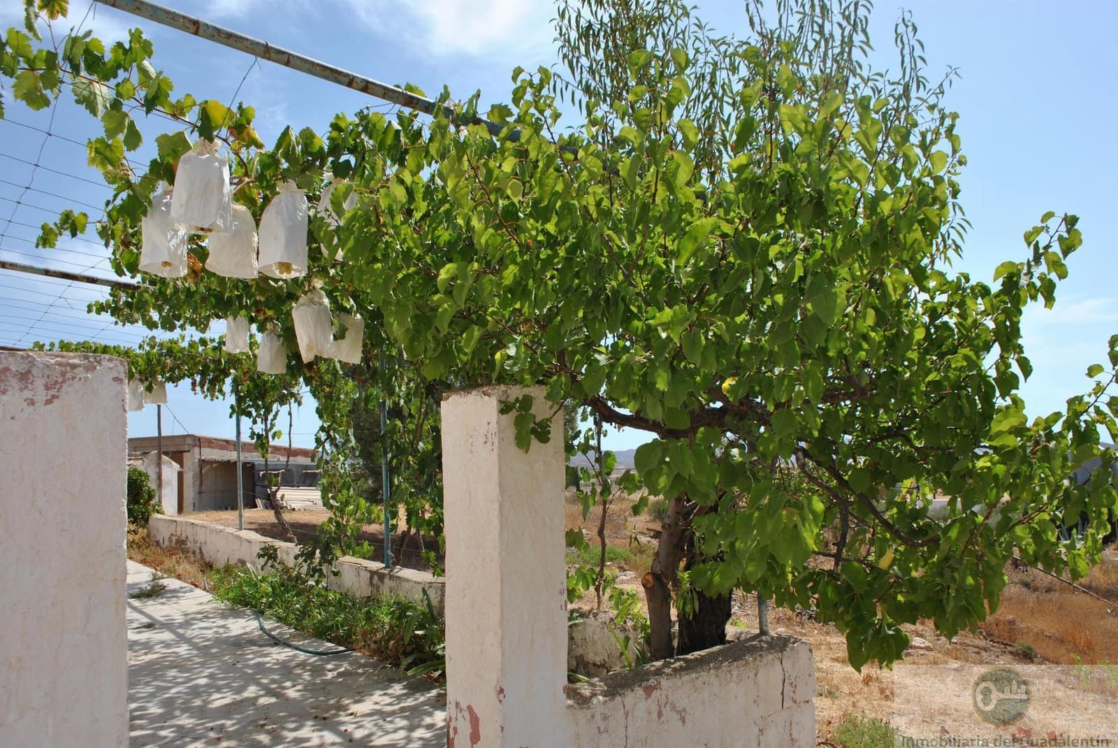 3 sovrum Finca/Hus på landet till salu i Almendricos - 89 000 € (Ref: 10030860)