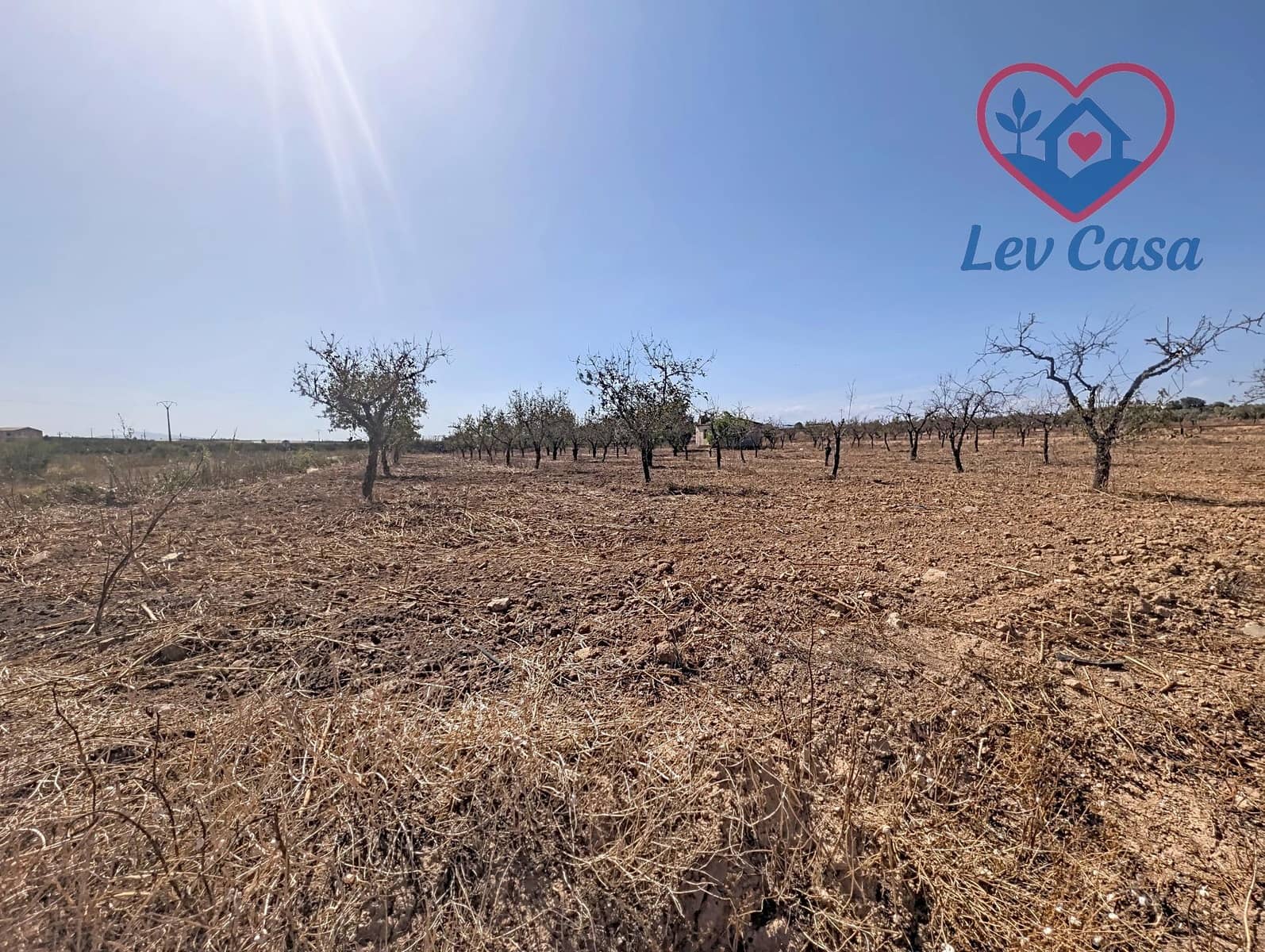 Terreno Non Edificato in vendita in Los Canovas - 29.900 € (Rif: 10032080)