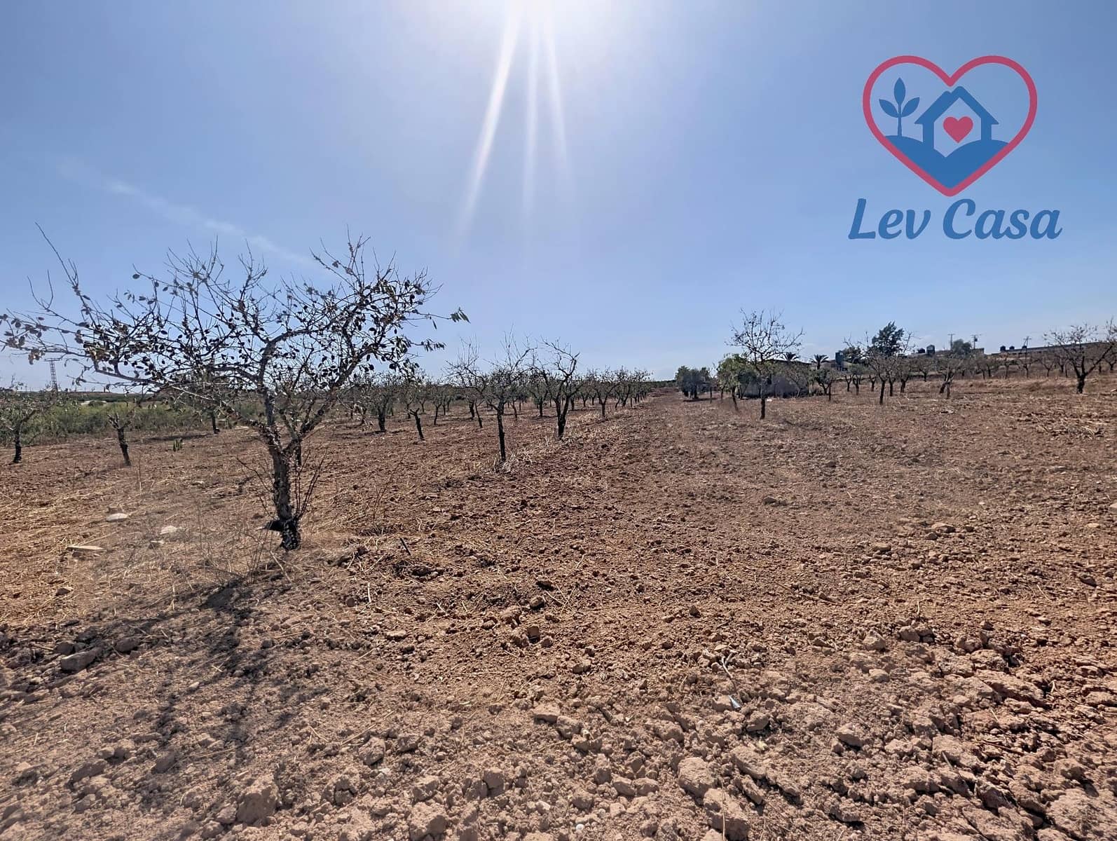 Terreno Non Edificato in vendita in Los Canovas - 29.900 € (Rif: 10032080)