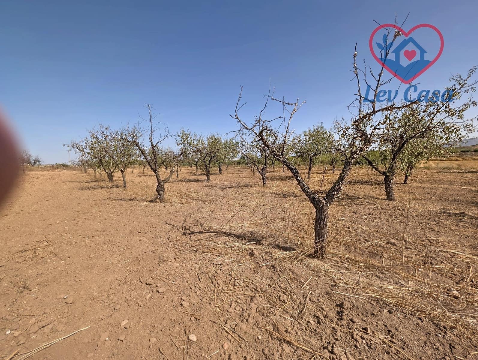 Terreno Non Edificato in vendita in Los Canovas - 29.900 € (Rif: 10032080)