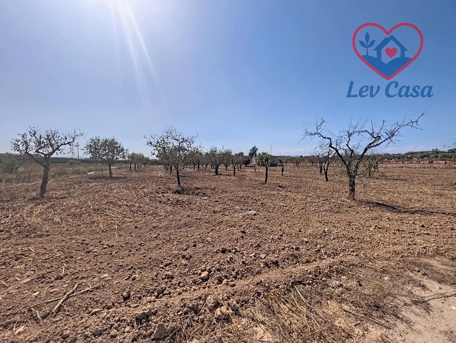 Terreno Non Edificato in vendita in Los Canovas - 29.900 € (Rif: 10032080)