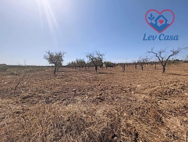 Mark till salu i Los Canovas, Fuente Alamo de Murcia - 29 900 € (Ref: 10032080)