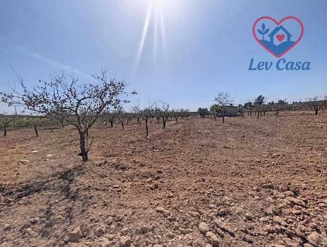 Mark till salu i Los Canovas, Fuente Alamo de Murcia - 29 900 € (Ref: 10032080)