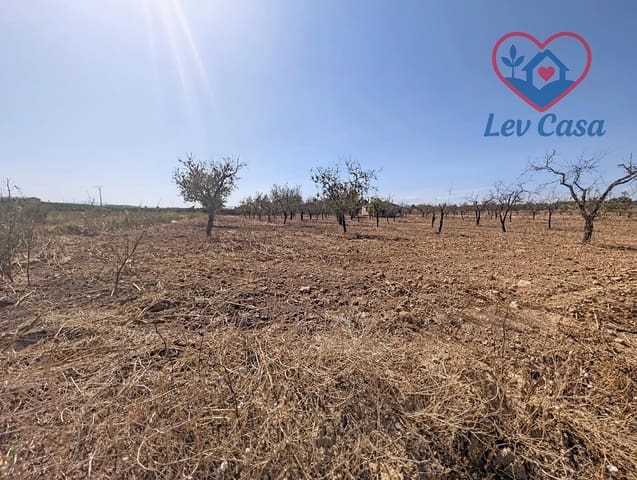 Mark till salu i Los Canovas, Fuente Alamo de Murcia - 29 900 € (Ref: 10032080)