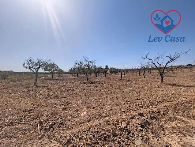 Mark till salu i Los Canovas, Fuente Alamo de Murcia - 29 900 € (Ref: 10032080)
