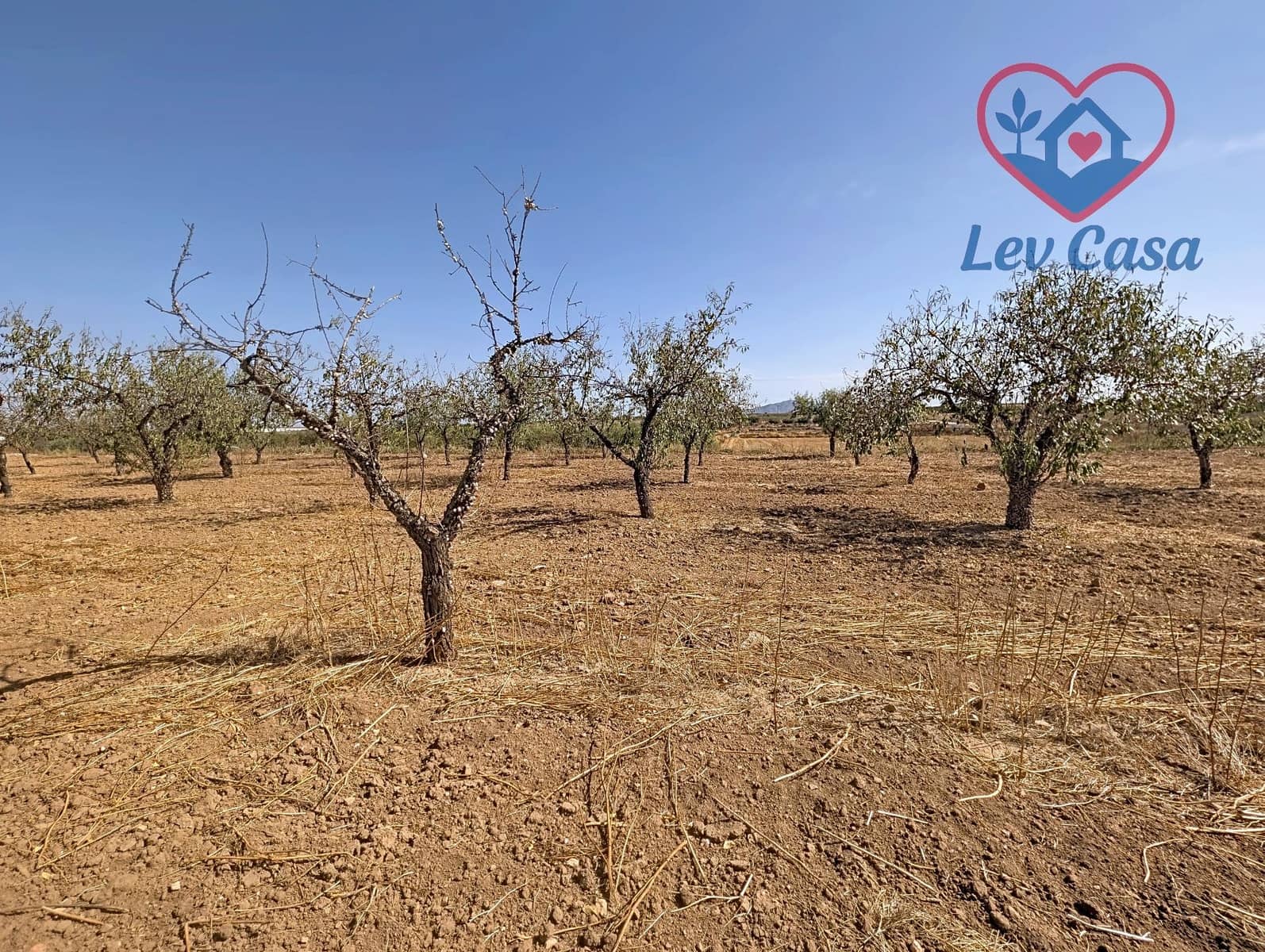 Terreno Non Edificato in vendita in Los Canovas - 29.900 € (Rif: 10032080)