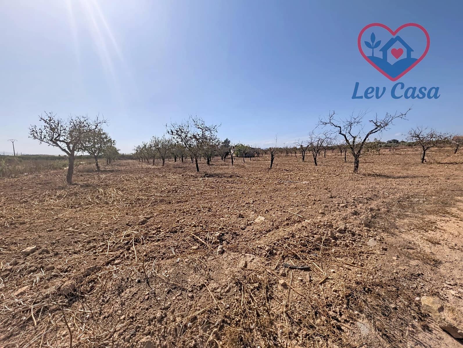 Terreno Non Edificato in vendita in Los Canovas - 29.900 € (Rif: 10032080)