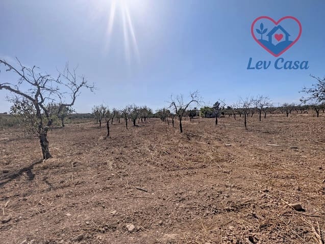 Mark till salu i Los Canovas, Fuente Alamo de Murcia - 29 900 € (Ref: 10032080)