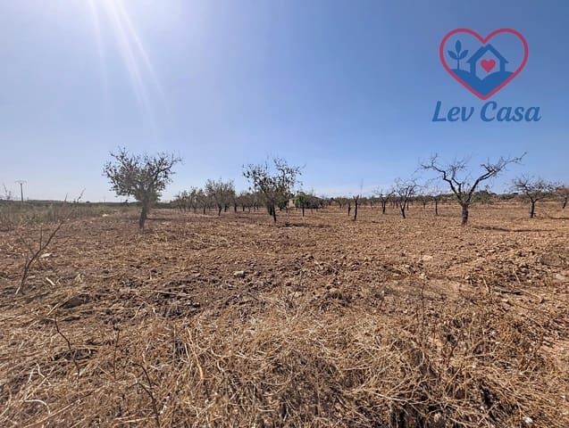 Mark till salu i Los Canovas, Fuente Alamo de Murcia - 29 900 € (Ref: 10032080)