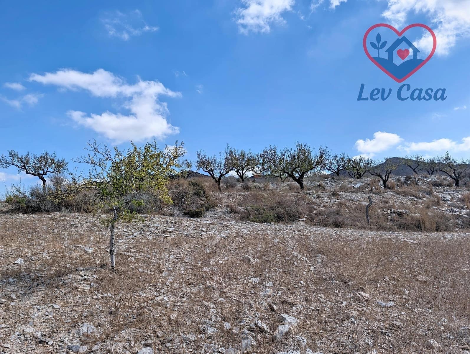 Grond te koop in Cartagena - € 79.900 (Ref: 10034006)