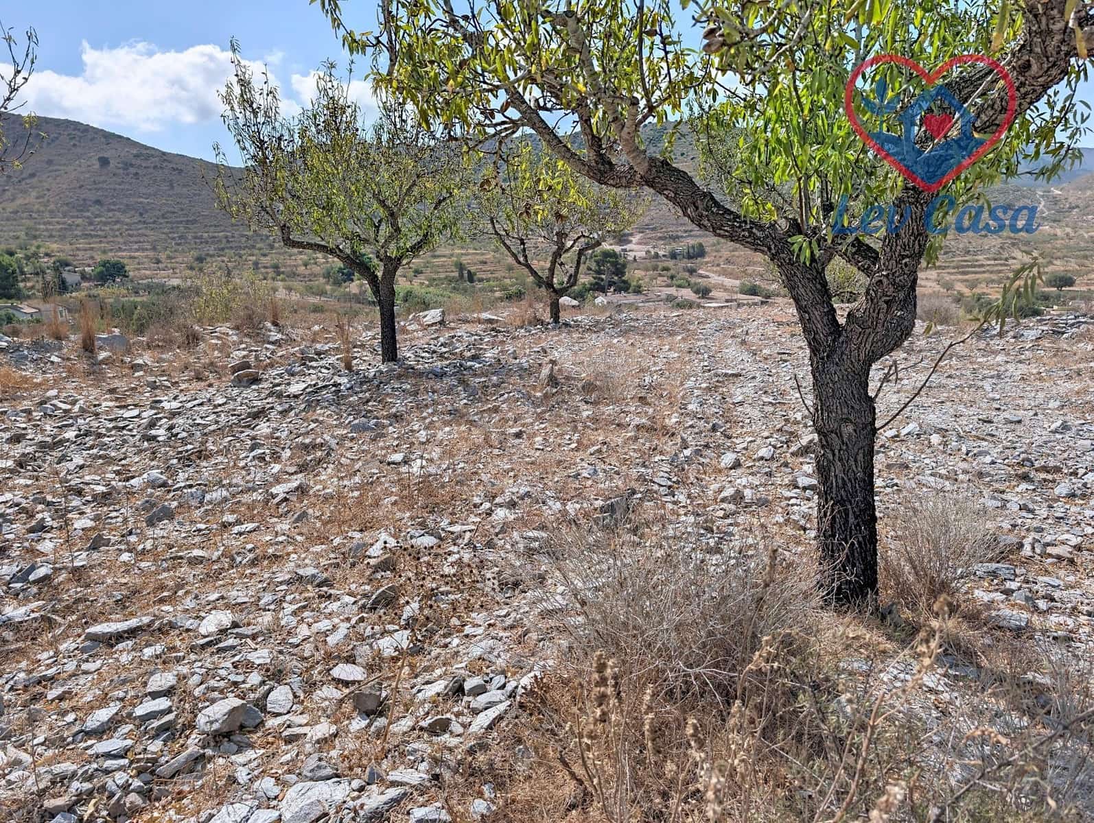 Grond te koop in Cartagena - € 79.900 (Ref: 10034006)