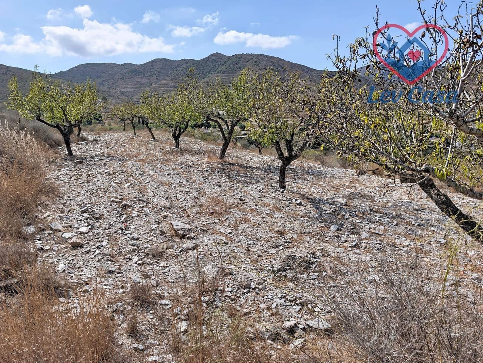 Grond te koop in Cartagena - € 79.900 (Ref: 10034006)