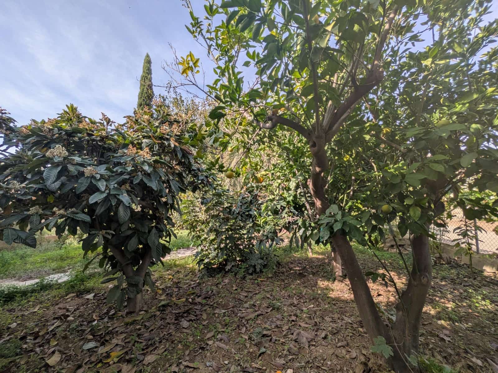 3 bedroom Finca/Country House for sale in Los Canovas - € 129,700 (Ref: 9980531)