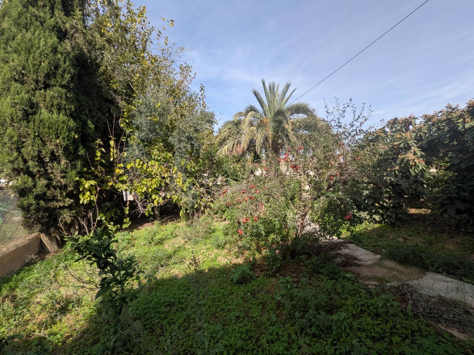 3 bedroom Finca/Country House for sale in Los Canovas - € 129,700 (Ref: 9980531)