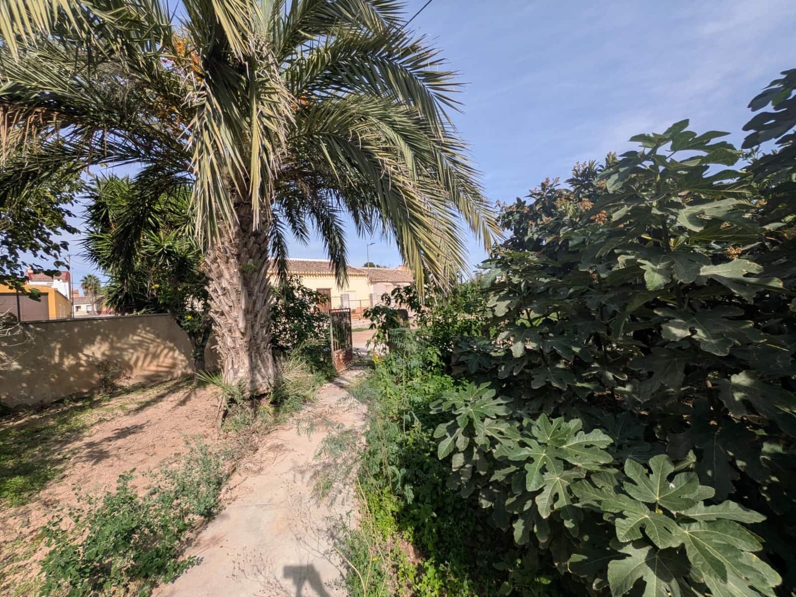 3 bedroom Finca/Country House for sale in Los Canovas - € 129,700 (Ref: 9980531)