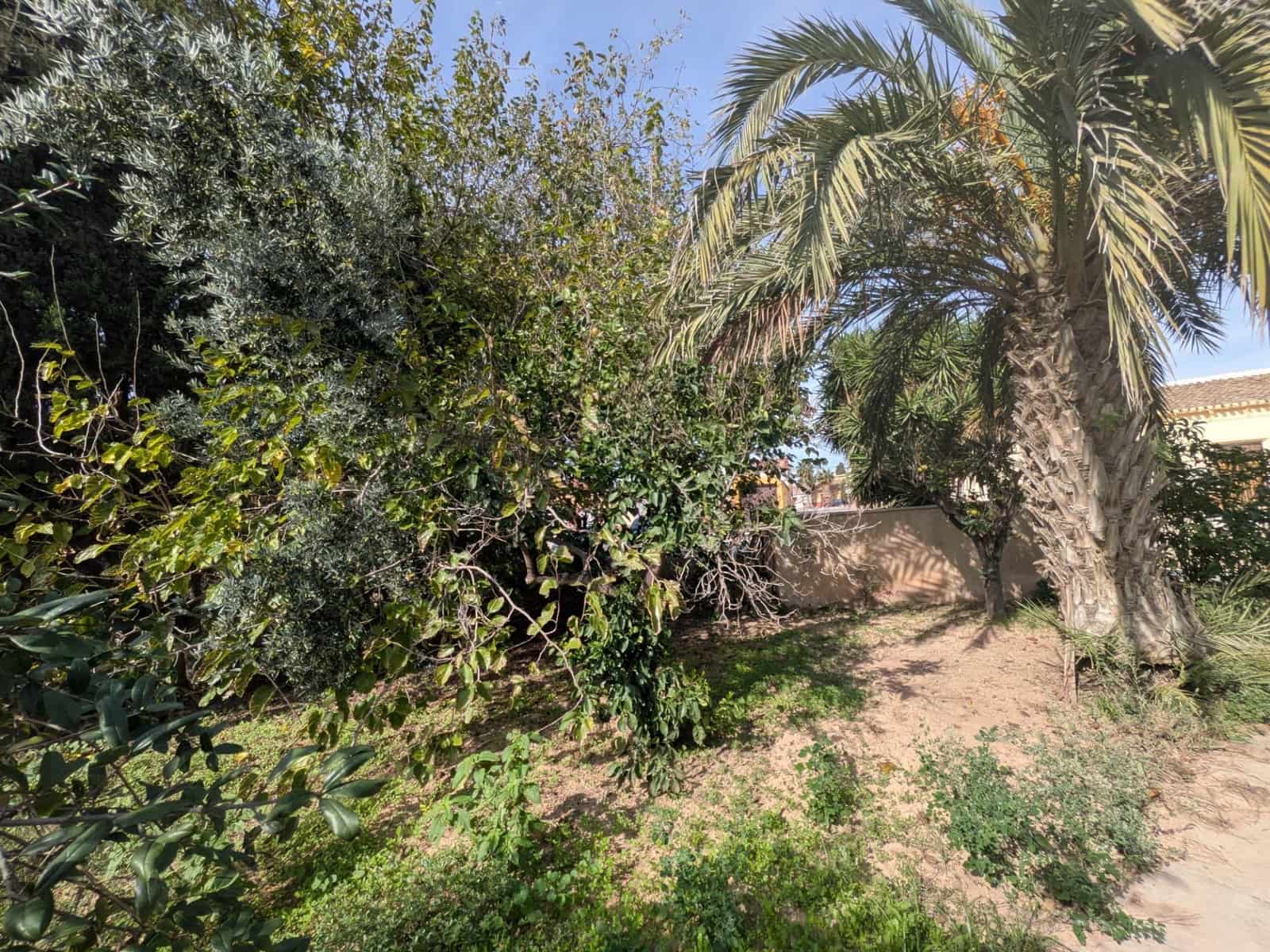 3 bedroom Finca/Country House for sale in Los Canovas - € 129,700 (Ref: 9980531)