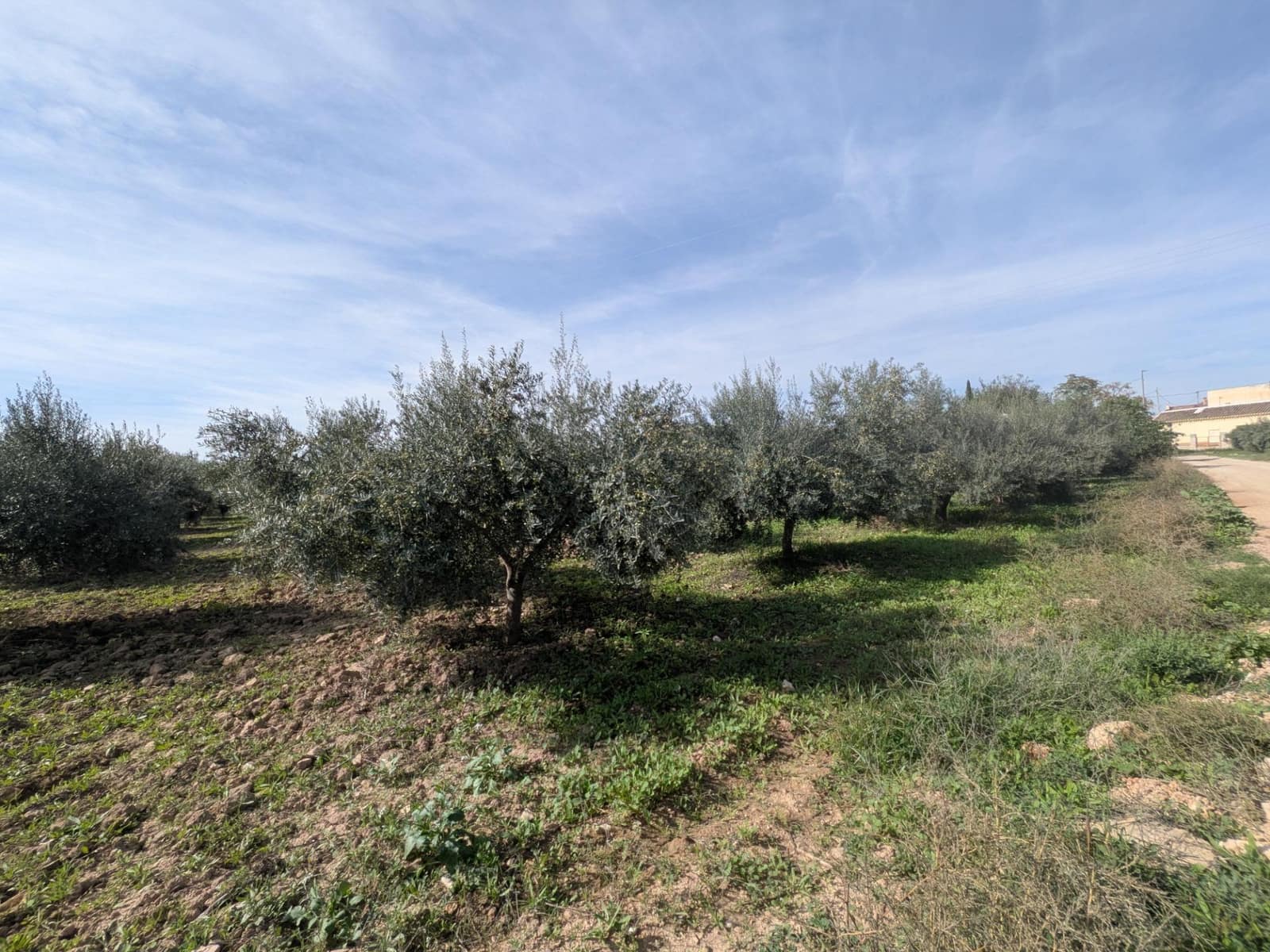 3 bedroom Finca/Country House for sale in Los Canovas - € 129,700 (Ref: 9980531)