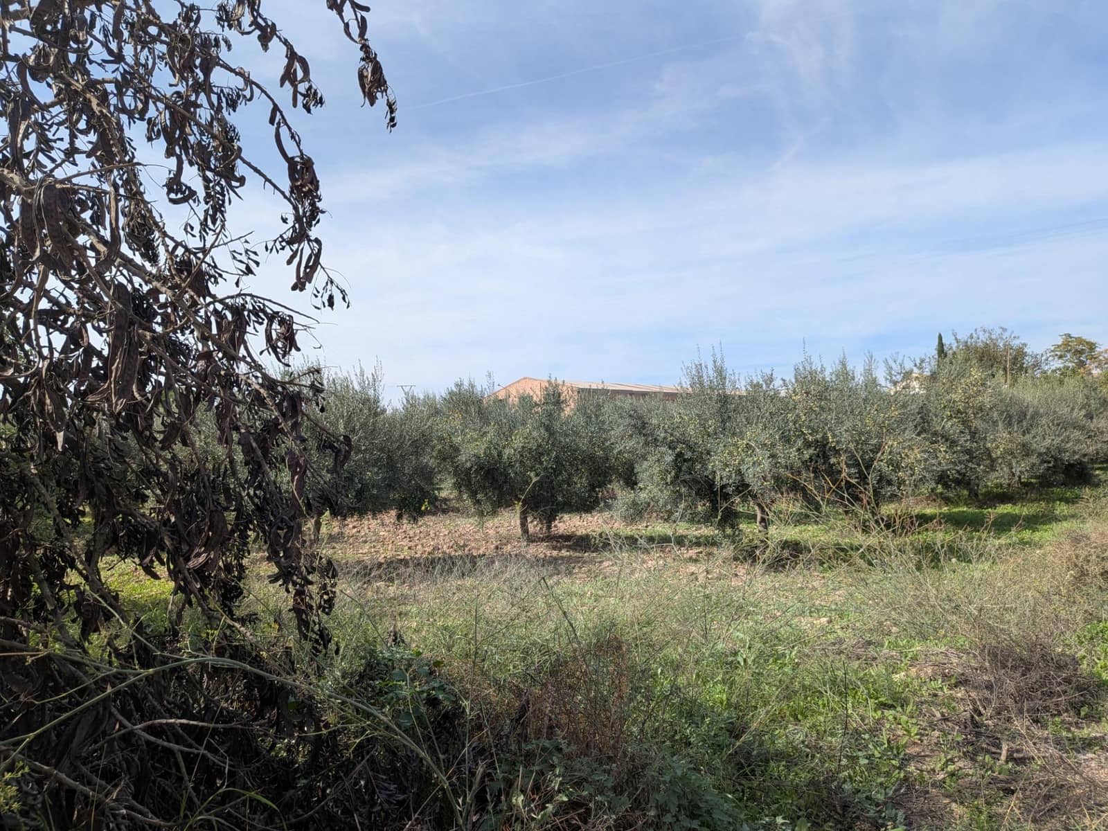 3 bedroom Finca/Country House for sale in Los Canovas - € 129,700 (Ref: 9980531)