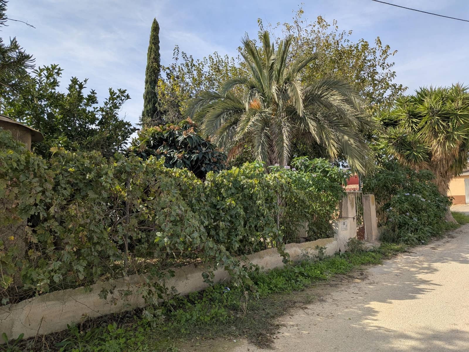 3 bedroom Finca/Country House for sale in Los Canovas - € 129,700 (Ref: 9980531)