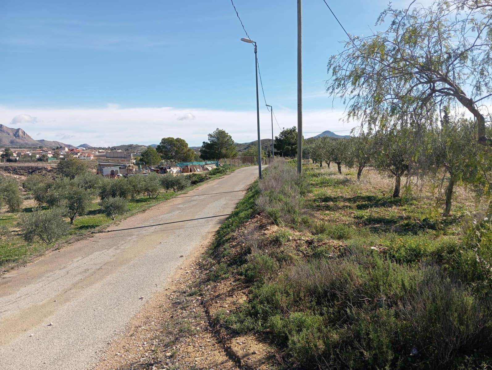 Terre non Aménagée à vendre à Barinas - 34 500 € (Ref: 9980552)