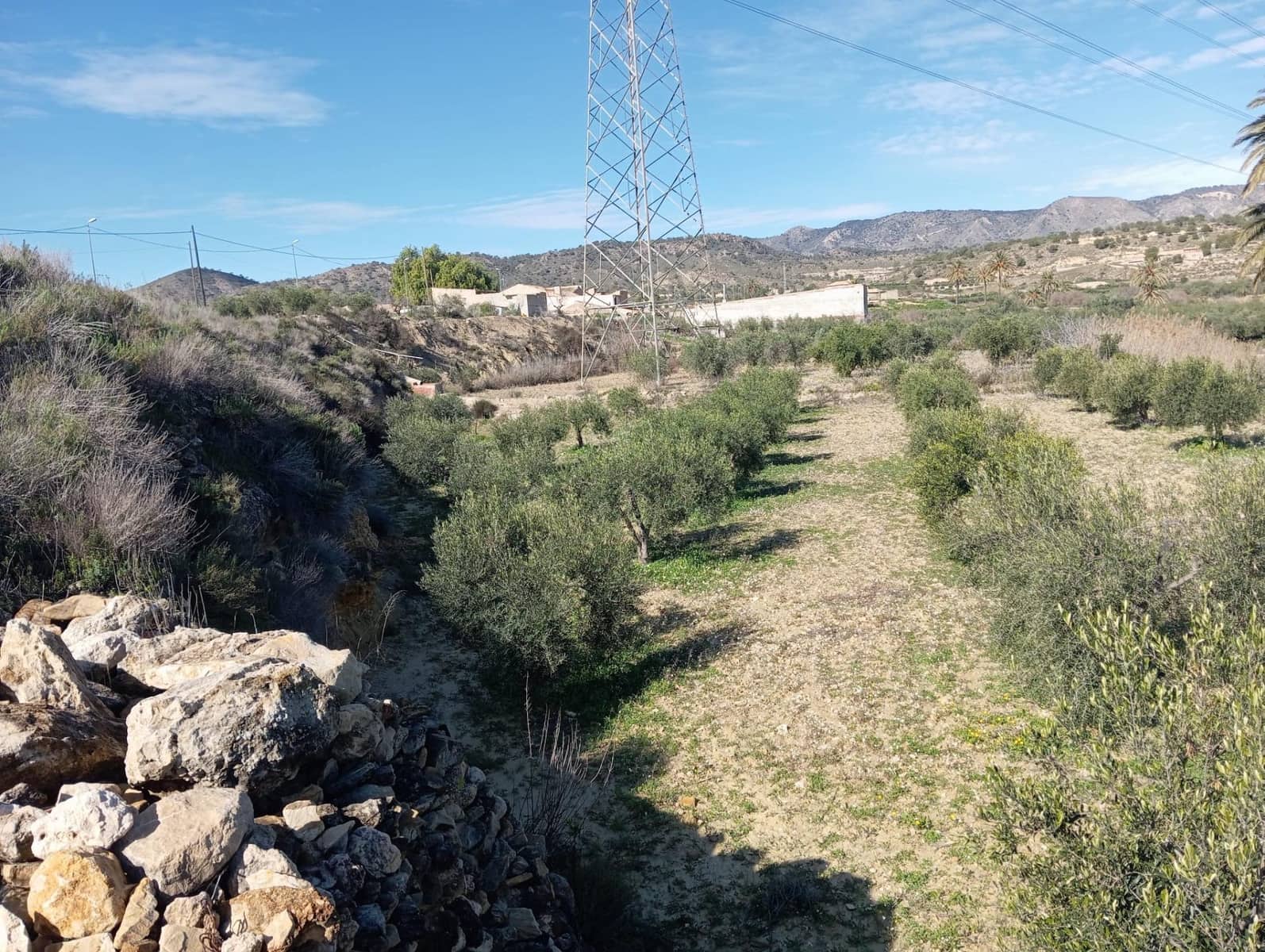 Terre non Aménagée à vendre à Barinas - 34 500 € (Ref: 9980552)